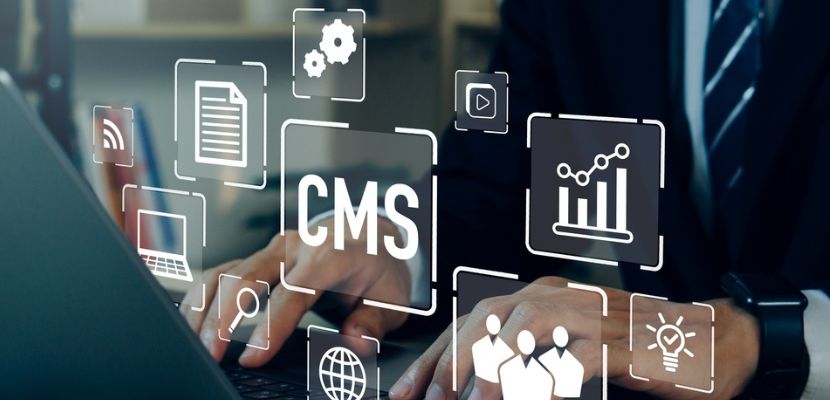 CMS Development